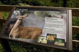 Cedar Creek Trail Sign Deer Flickr FOHRA-2